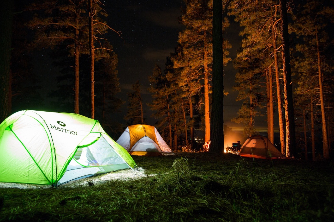 Camping parmi les pins