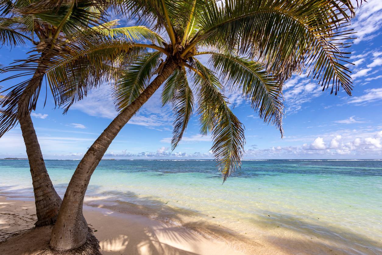 plage île visite tourisme Caraïbes